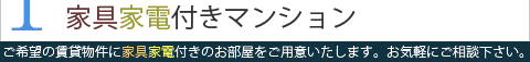 �Ƌ�Ɠd�t���}���V����